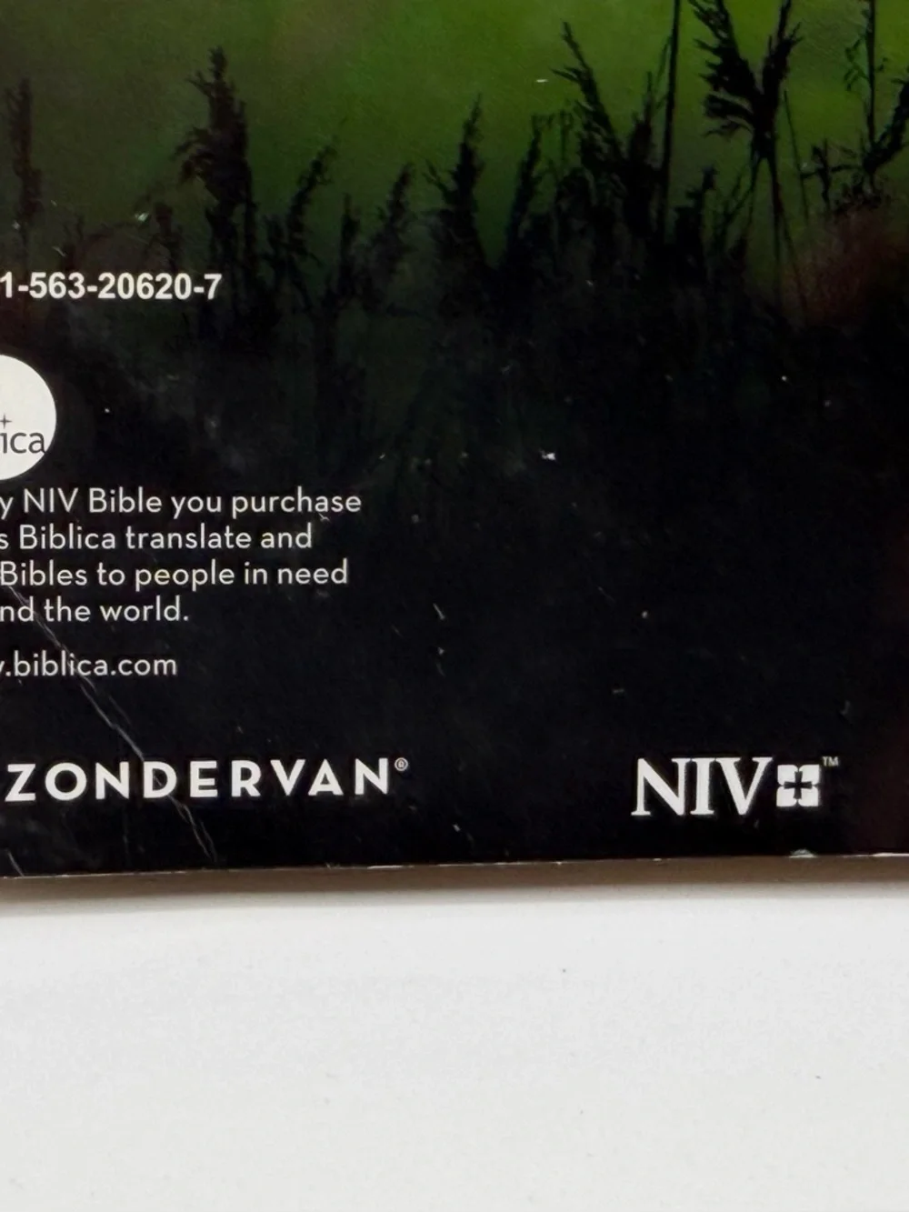New International Version New Testament Holy Bible Large Print (2011, Paperback)